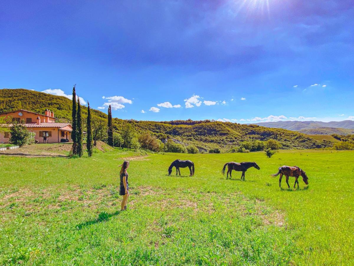 Ca' Dei Lanari - 10 Min Da Assisi Appartement San Presto Buitenkant foto